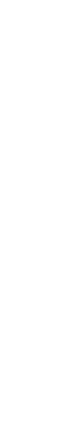 brand-element-vertical-long-white brand-element-vertical-long-white