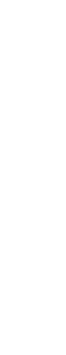 brand-element-vertical-white brand-element-vertical-white